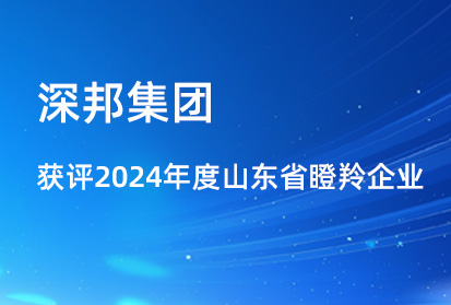 喜報(bào)|深邦集團(tuán)獲評(píng)2024年度山東省瞪羚企業(yè)