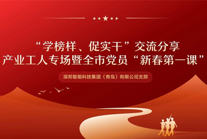 深邦黨支部開展“學(xué)榜樣 促實(shí)干”主題交流活動